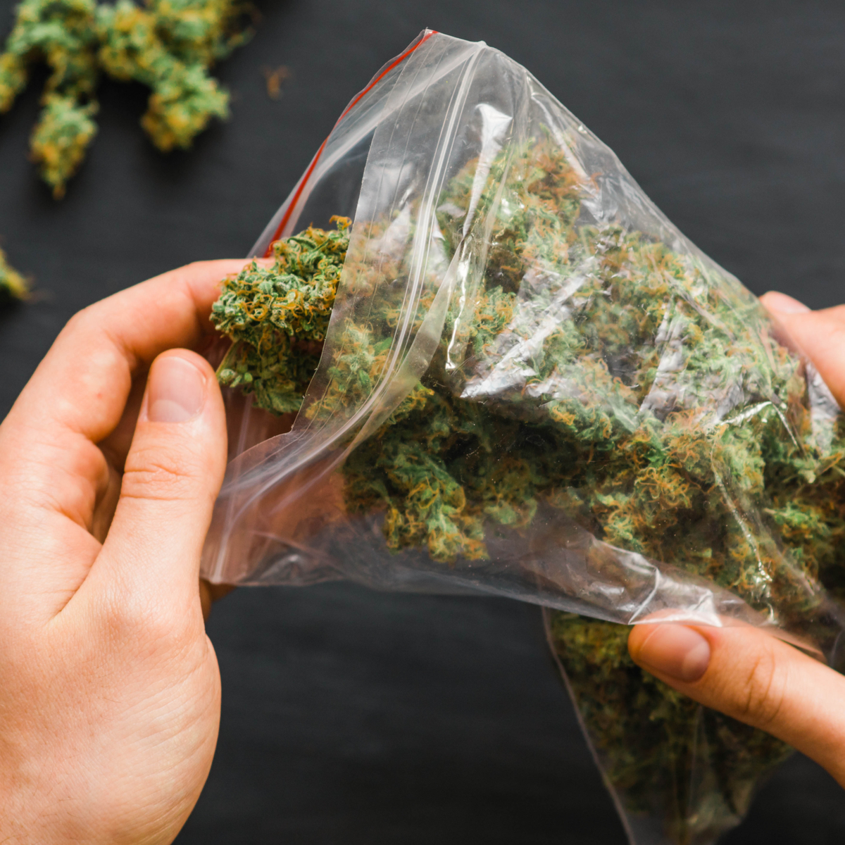 Budtimez Cannabis Barrie Cannabis Dispensary Wellington Plaza